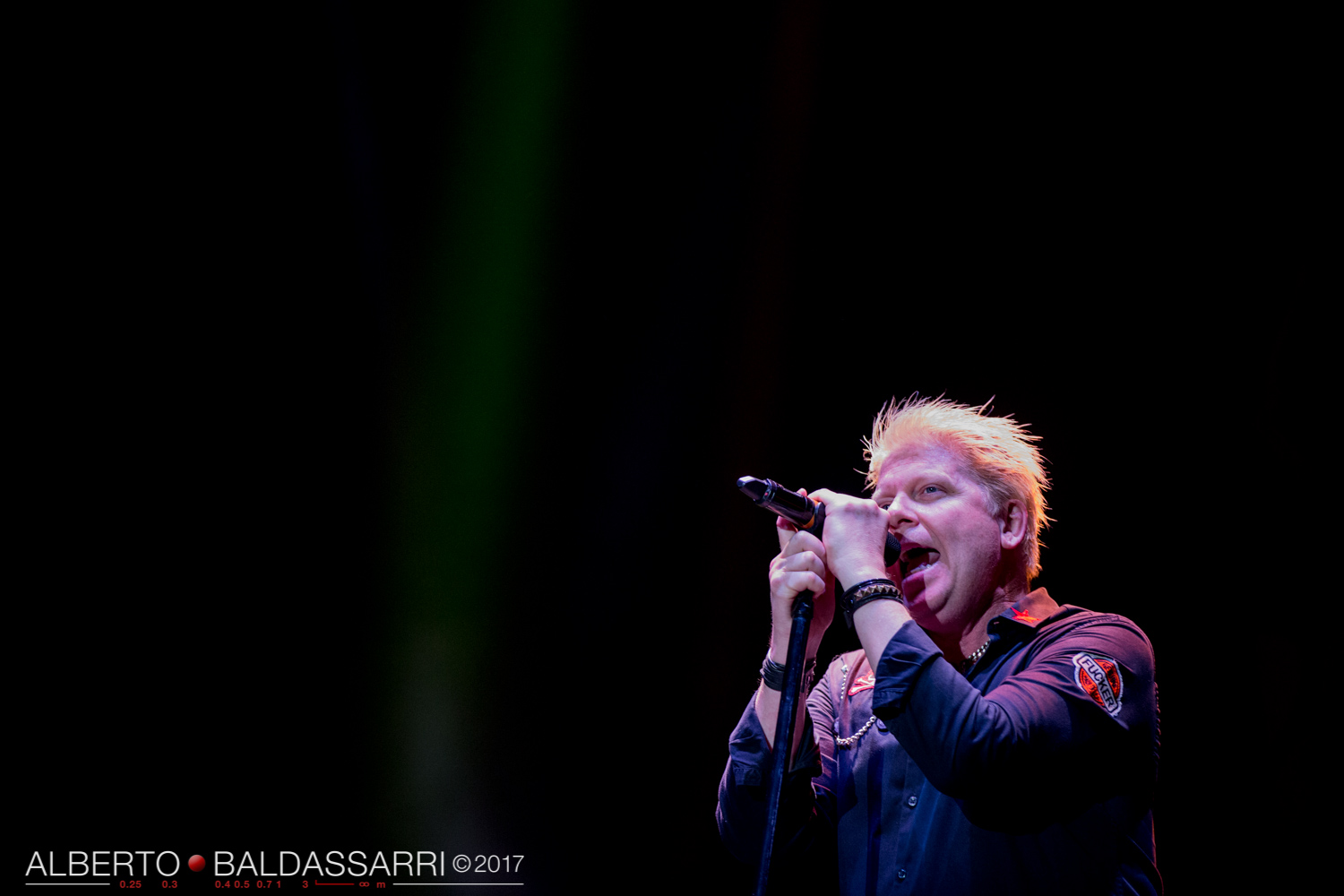 The Offspring