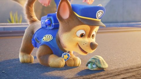 Paw Patrol Il Super Film Film