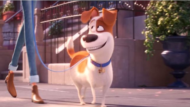 Pets 2 - Vita da animali: ecco il primo trailer italiano del film dedicato a Max!