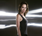 Terminator: The Sarah...
