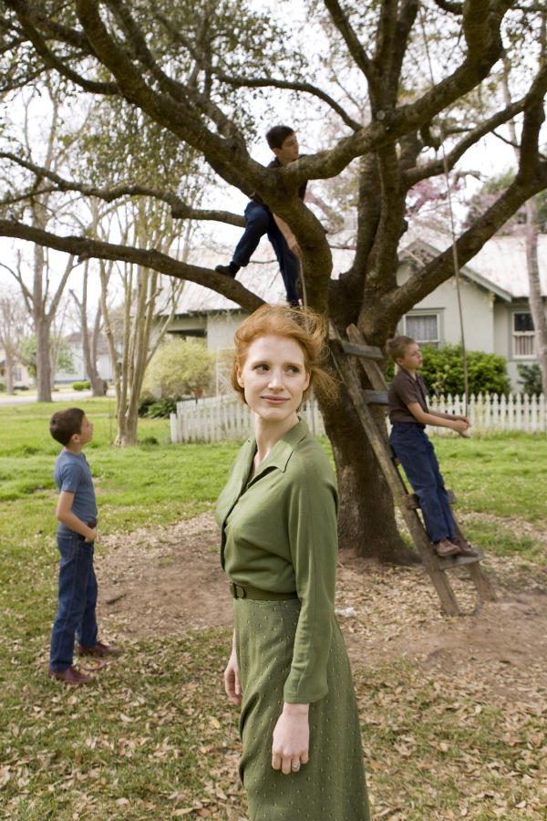 The Tree of Life