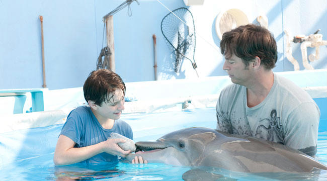 L'incredibile storia di Winter il delfino