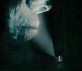 poster special edition
