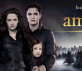 Banner argentino