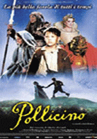 POLLICINO