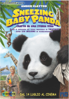 Locandina: Sneezing Baby Panda