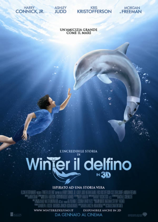 L'incredibile storia di Winter il delfino - Film (2011)