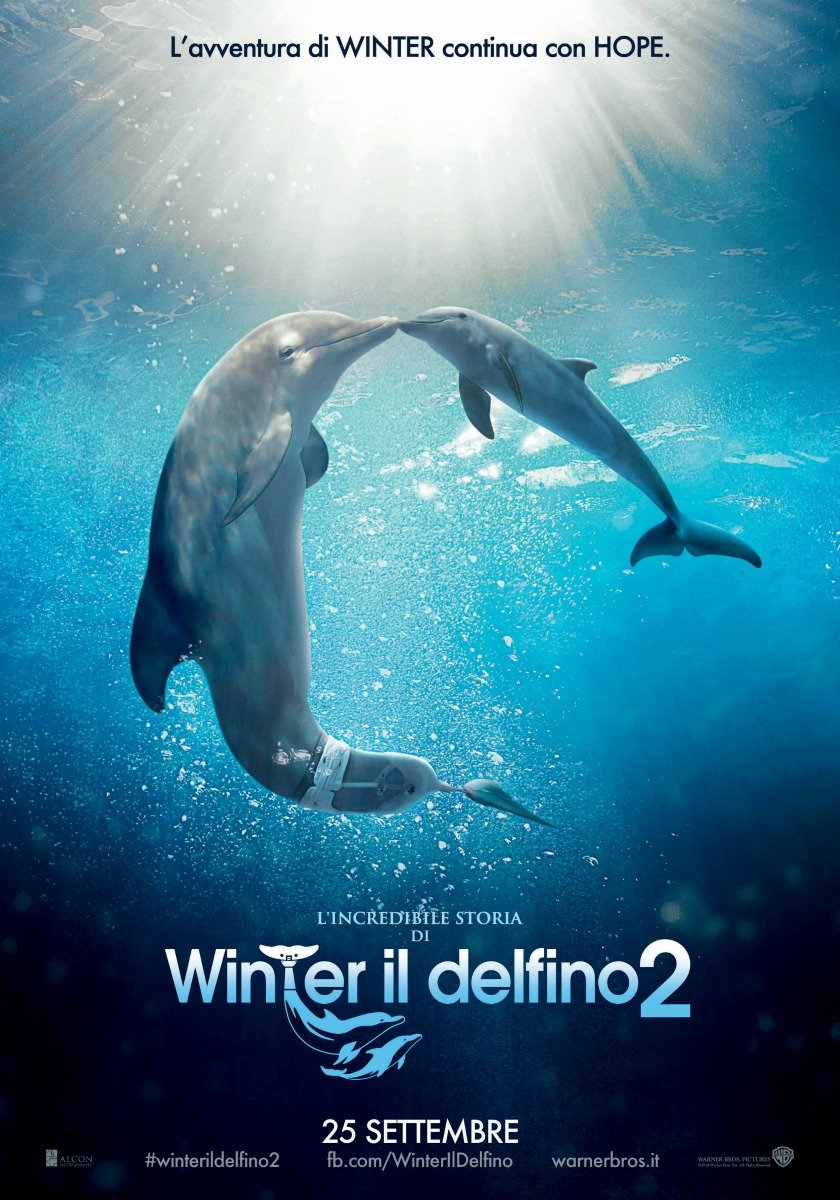 Lincredibile storia di Winter il delfino Streaming