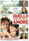 Locandina: Quello che so sull'amore