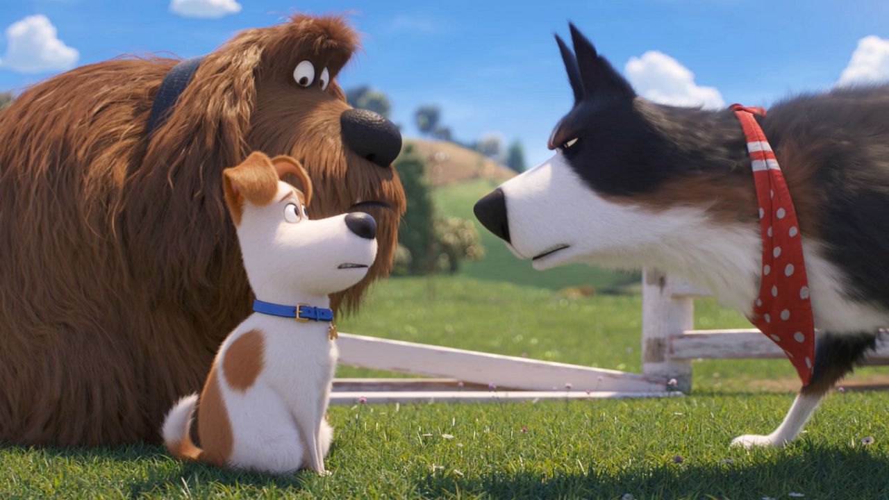 Pets 2 stasera in prima visione su Sky Cinema Uno