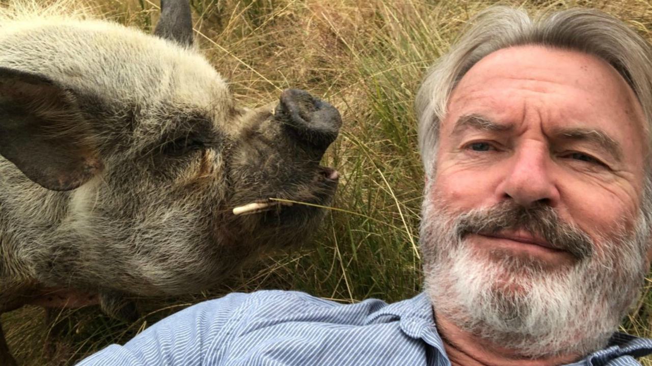 Sam Neill ci parla dello stop di Jurassic World Dominion e della necessità di restare ottimisti