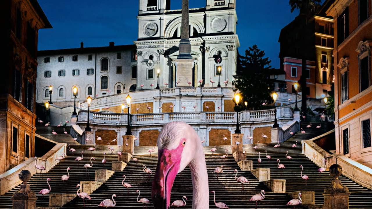 Paolo Sorrentino rivela quali sono i (suoi) film che preferisce