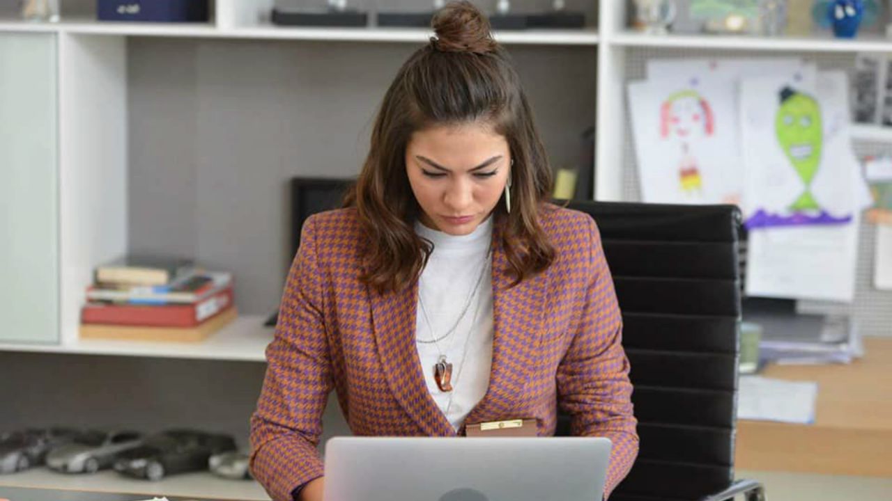 Daydreamer Anticipazioni prima puntata del 10 giugno 2020: Sanem assunta alla Fikri Hariza