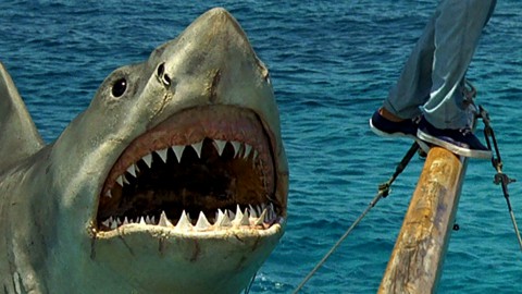 Attenti a quei denti! I migliori cinque film in streaming con lo squalo assassino