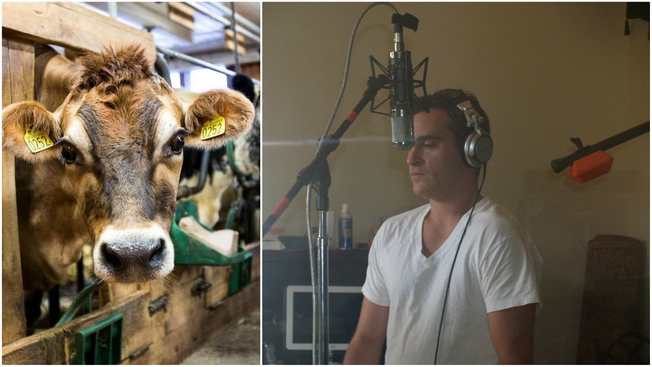Crisi con ostaggi in Ucraina risolta grazie a un documentario narrato da Joaquin Phoenix