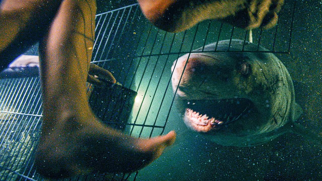 47 Metri: Uncaged - la recensione dello shark movie di Johannes Roberts