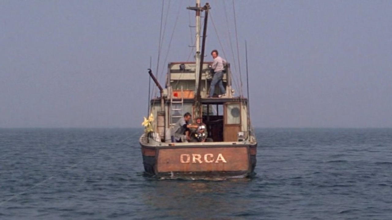 La barca di Lo squalo torna per salvare... gli squali