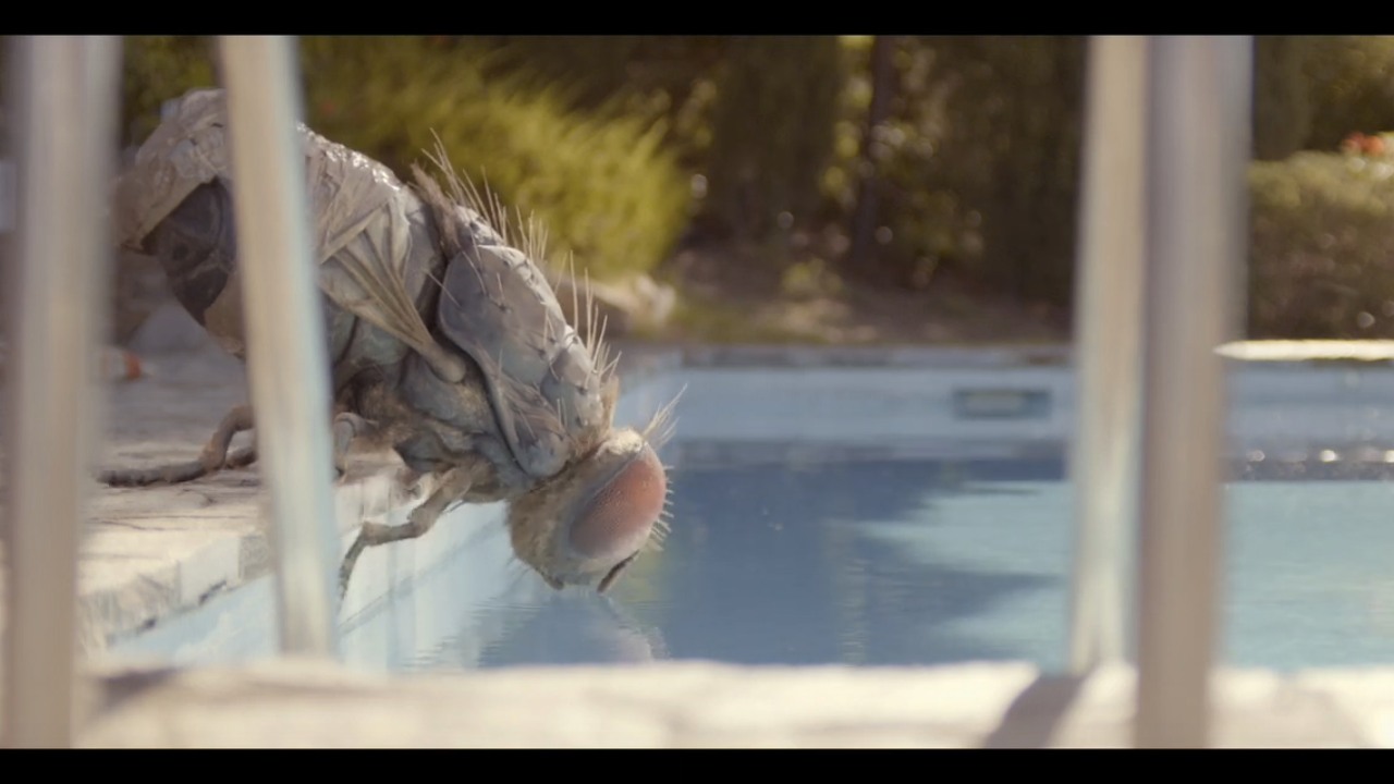 Mandibules: il folle teaser del film di Quentin Duepieux che sarà al Festival di Venezia 2020