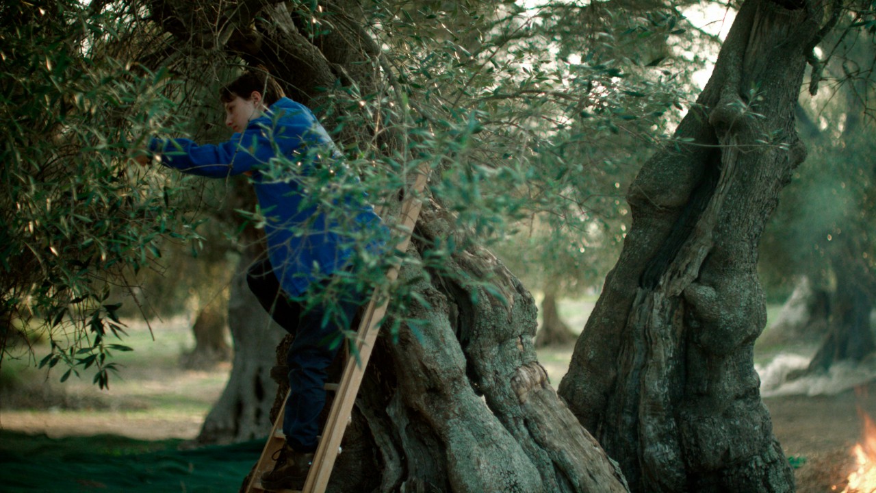 Semina il vento: la recensione del film tra ecologia e magia con Yile Vianello