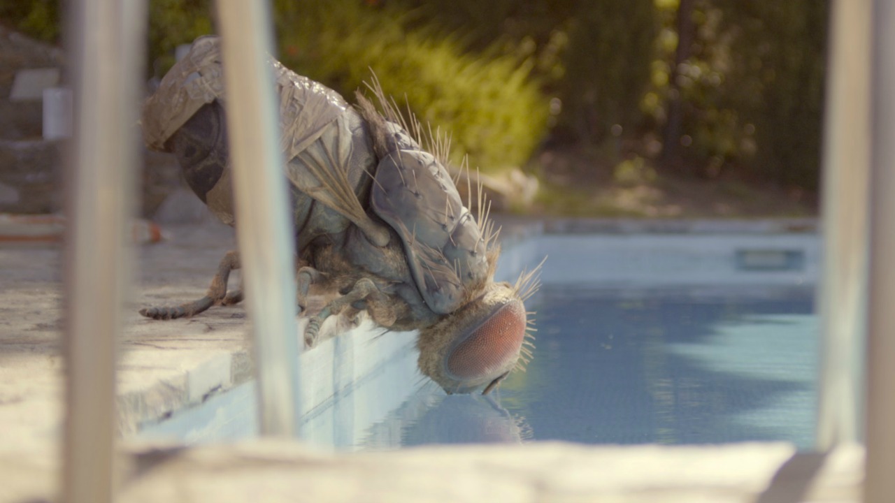 Mandibules: recensione della commedia stralunata con mosca gigante di Quentin Dupieux, fuori concorso a Venezia 2020