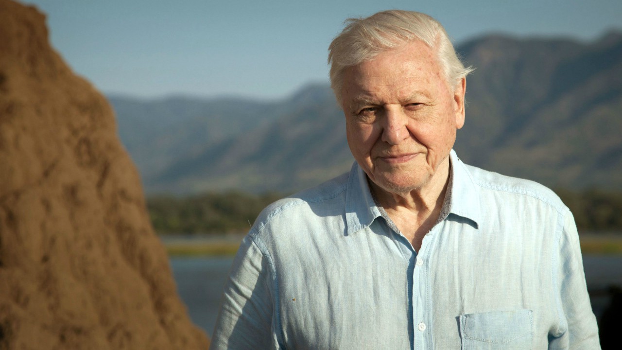 David Attenborough - Una vita sul nostro pianeta: il trailer del documentario sul famoso divulgatore scientifico