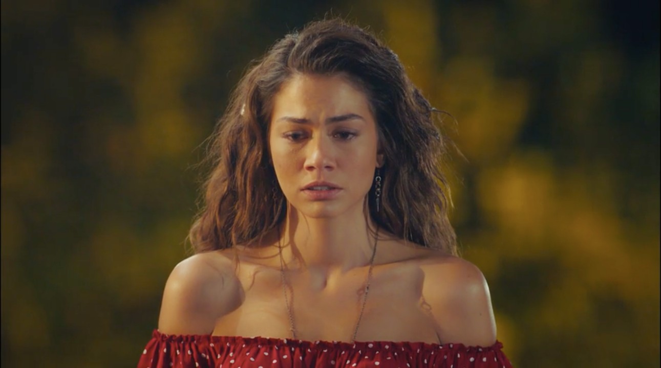 Daydreamer Anticipazioni Turche: Sanem compra la Fikri Harika poi fugge dalla città!