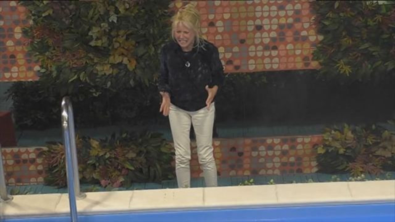Grande Fratello Vip, il crollo di Maria Teresa Ruta e la reazione di Cecilia Capriotti: "È lei che mi ha offeso" (VIDEO)