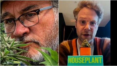  Jim Belushi e Seth Rogen entusiasti coltivatori di cannabis