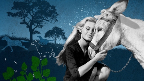 Brigitte Bardot, Eterna Ribelle: Stasera su Sky Arte il doc sulla battaglia animalista della diva francese