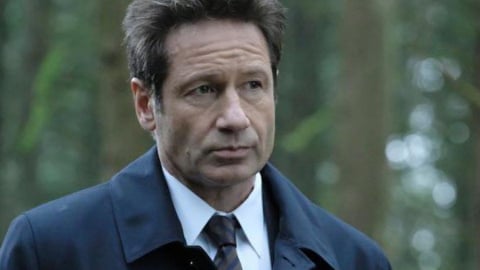 David Duchovny on the Inspiration of 'Bucky F*cking Dent