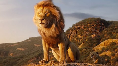 Mufasa, novità sul prequel del Re Leone dal regista 