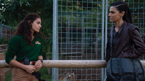 The Cage - nella gabbia, al via le riprese del film italiano sulle arti marziali miste 