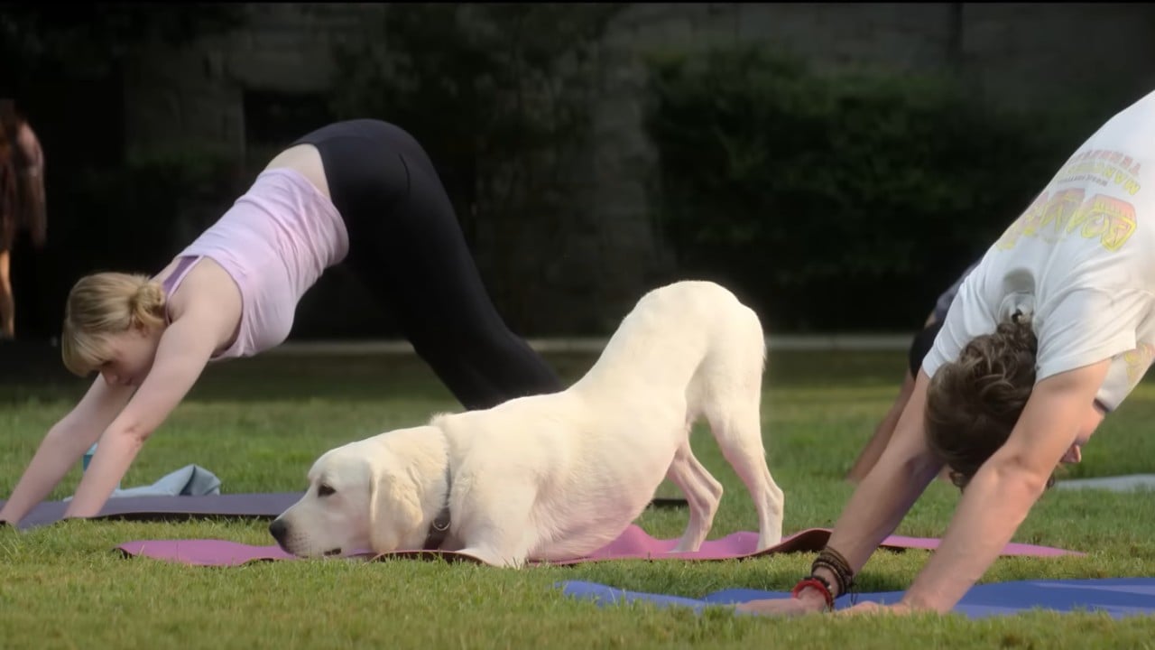 Dog Gone: Un padre e un figlio alla ricerca del cane smarrito nel trailer  del film