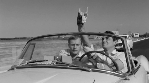 Omaggio a Dino Risi: ecco alcuni dei suoi grandi film in streaming