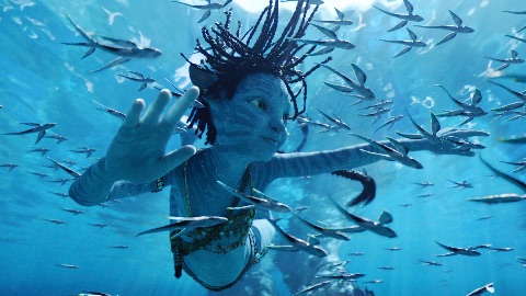 Il cinema in Italia dà segnali di risveglio: presentati i dati del 2022