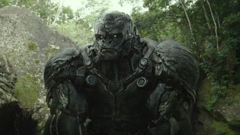 Transformers: Il risveglio - Steven Caple Jr. in trattative per dirigere il sequel