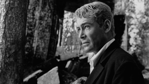 A dieci anni dalla scomparsa di Peter O'Toole, ricordiamo il grande attore con cinque film in streaming 