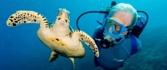 Oceani 3D - la recensione del documentario subacqueo narrato da Aldo, Giovanni e Giacomo