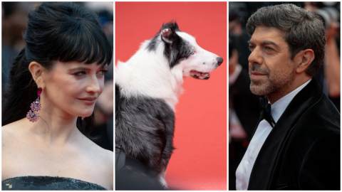 Cannes 2024, tra i divi spunta Messi: il cane di Anatomia di una Caduta avrà un ruolo molto speciale