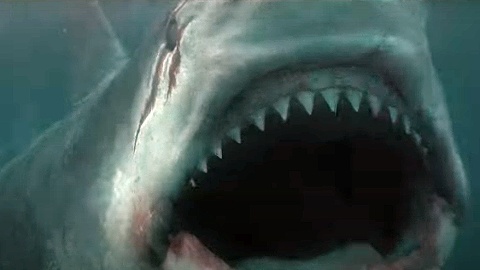 Shark Warning: il trailer del nuovo film della Asylum su uno squalo assassino