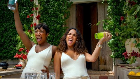 Blink Twice e quel sottolissimo cameo di Lenny Kravitz nel film