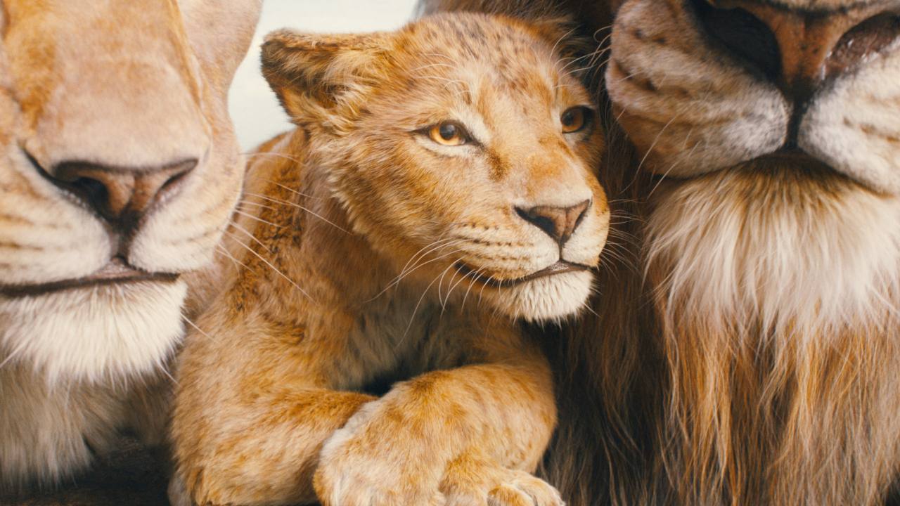 Mufasa   Il re leone, Hans Zimmer ha abbandonato le musiche del film