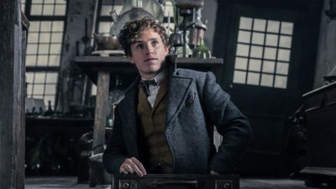 Animali Fantastici, Eddie Redmayne conferma che la saga non proseguirà