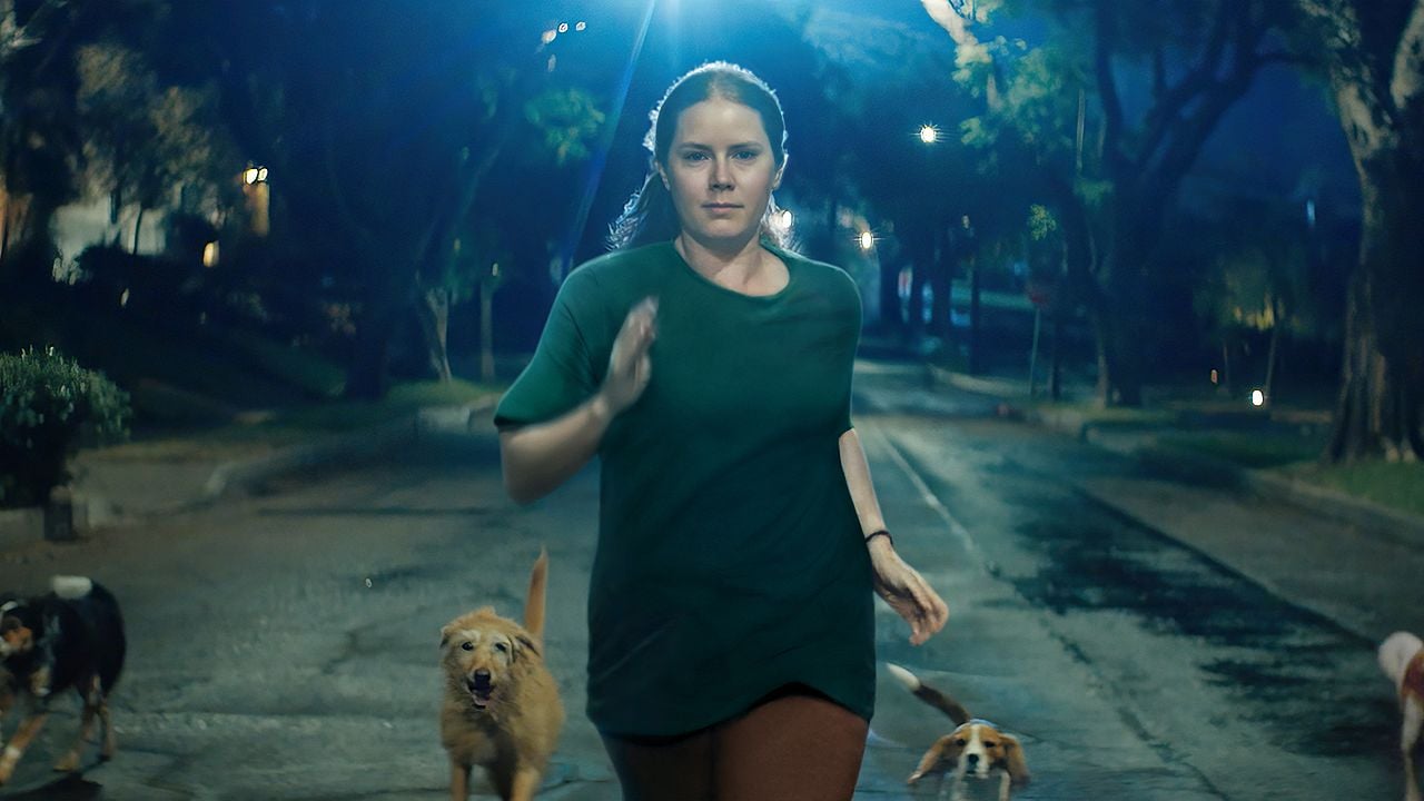 Nightbitch arriva in Italia: guarda il trailer del film con Amy Adams