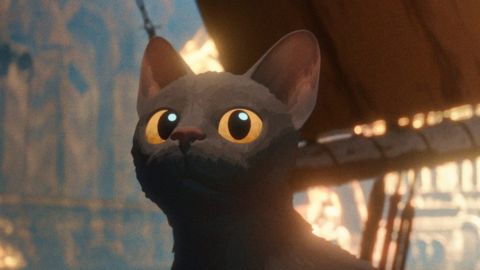 Flow - Un mondo da salvare, perché il regista non è interessato ad un sequel