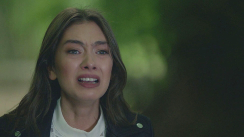 Endless Love Anticipazioni 4 febbraio 2025: Nihan viene rapita! Kemal sa che c'è una "talpa", ma chi è?