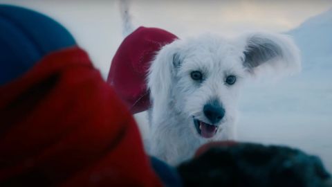 Superman, Krypto avrà uno spin-off di cortometraggi 