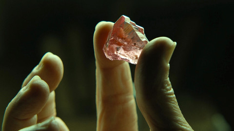 Nella Tana dei Lupi 2: Pantera: la nostra intervista video al regista Christian Gudegast