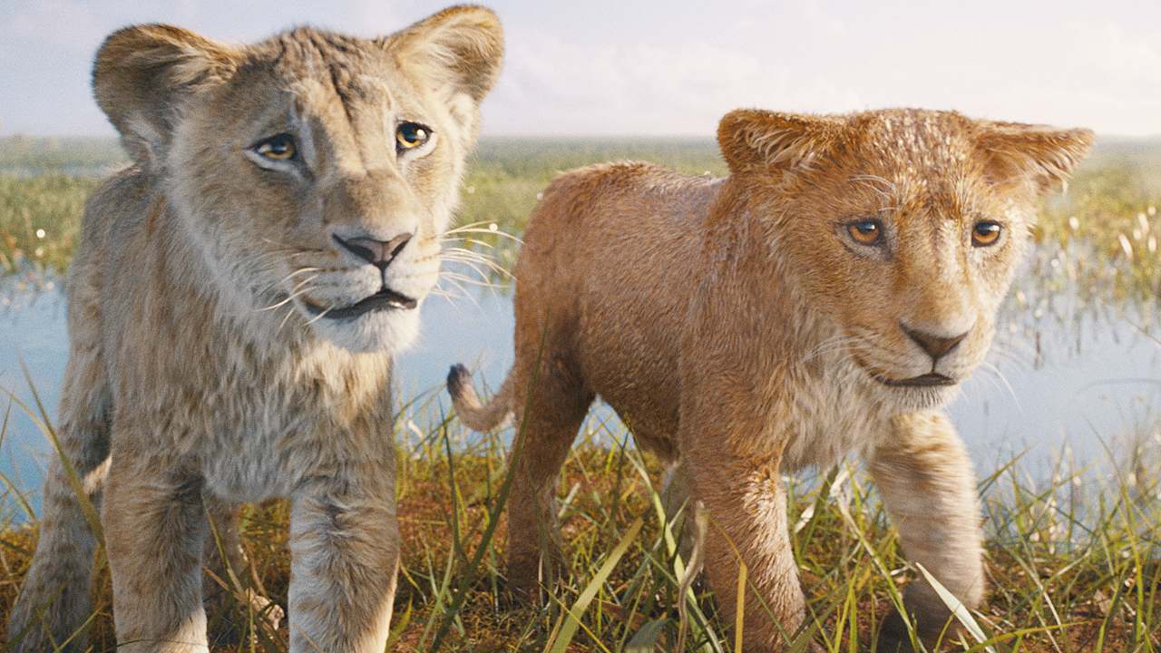 mufasa re leone the