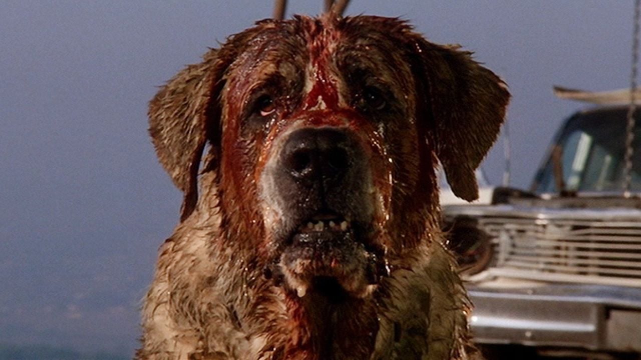 Netflix mette in cantiere un nuovo adattamento di "Cujo"